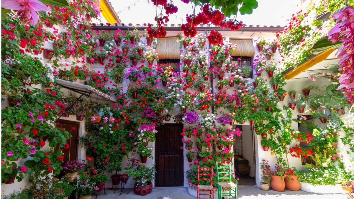 Patios de Córdoba: guía completa para visitarlos 7 Patios de Córdoba: guía completa para visitarlos 6