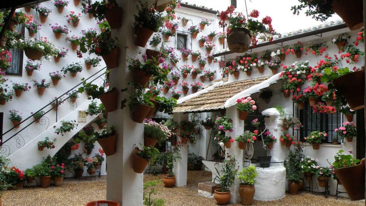 Patios de Córdoba: guía completa para visitarlos
