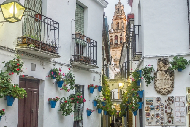 calleja de las flores de córdoba