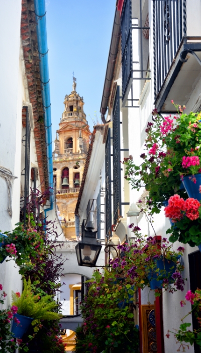 flores en la calleja de las flores