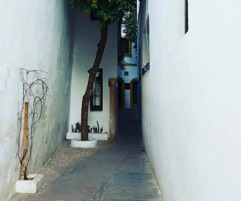 La Calleja del Pañuelo. Un paseo por la Historia de Córdoba 8