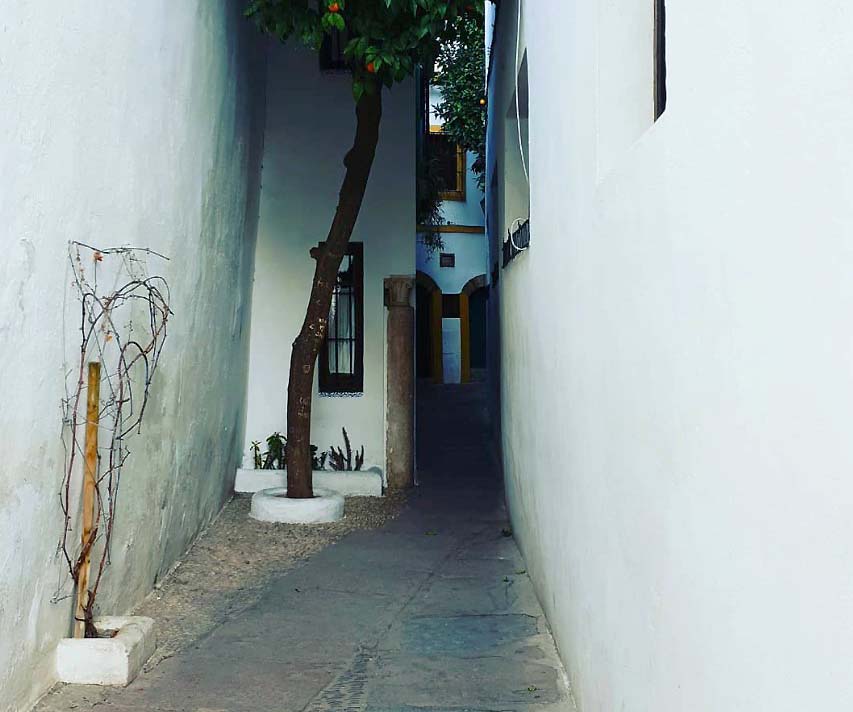 calleja del pañuelo