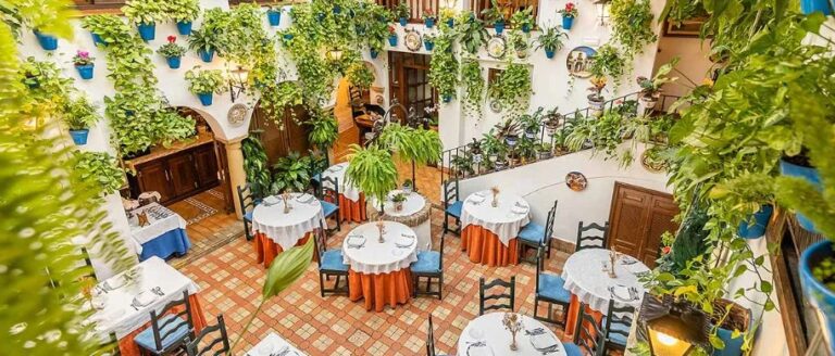 Grupo Rosales lanza Universo Rosales: una nueva puerta al sabor de Córdoba y a experiencias únicas 18