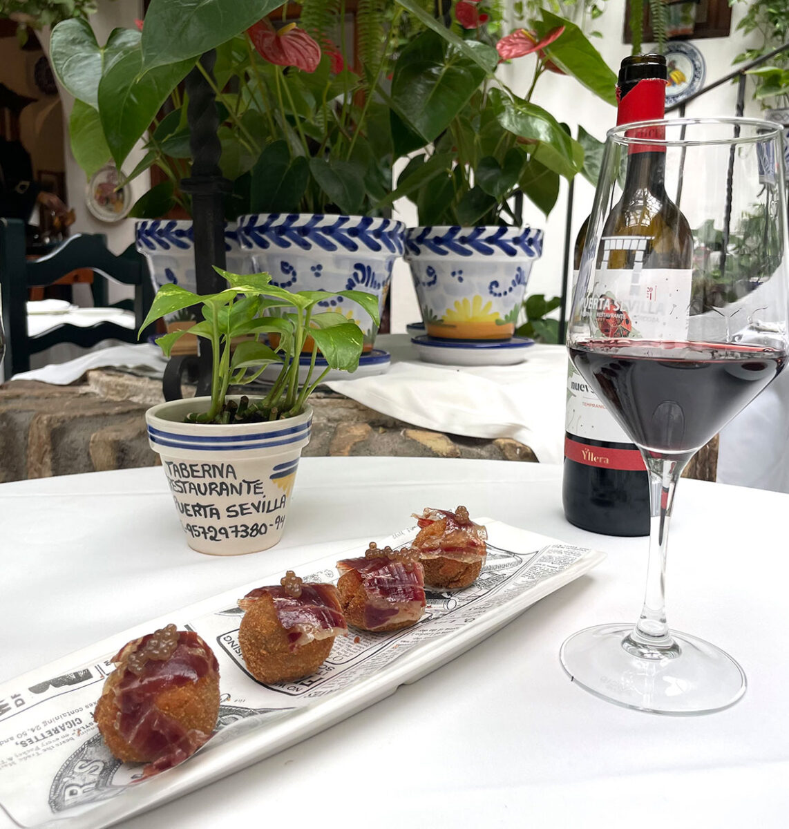 Jornada coto micológico