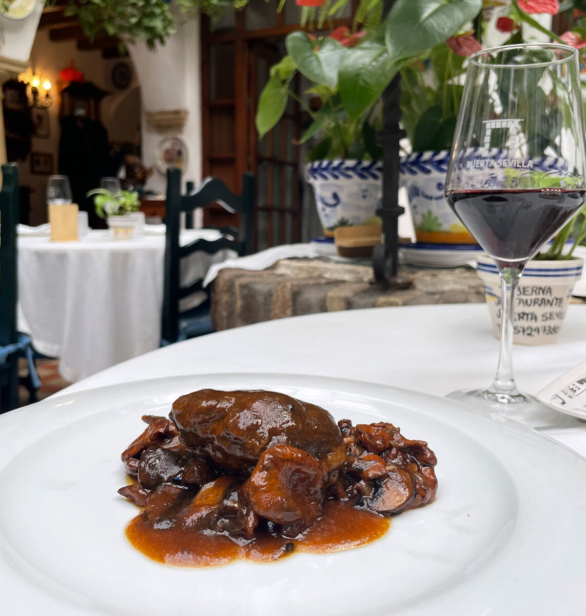 Jornada coto micológico