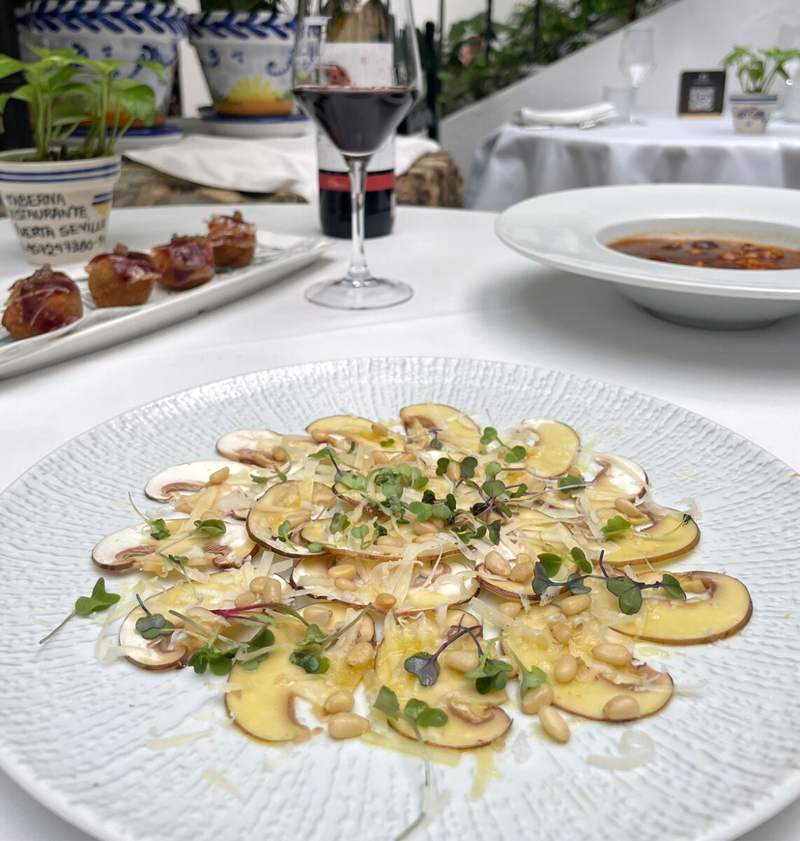 Jornada coto micológico