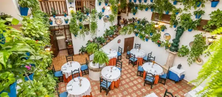 Comer saludable (y muy bien) en Córdoba: las tabernas recomendadas por nutricionistas para este otoño 8